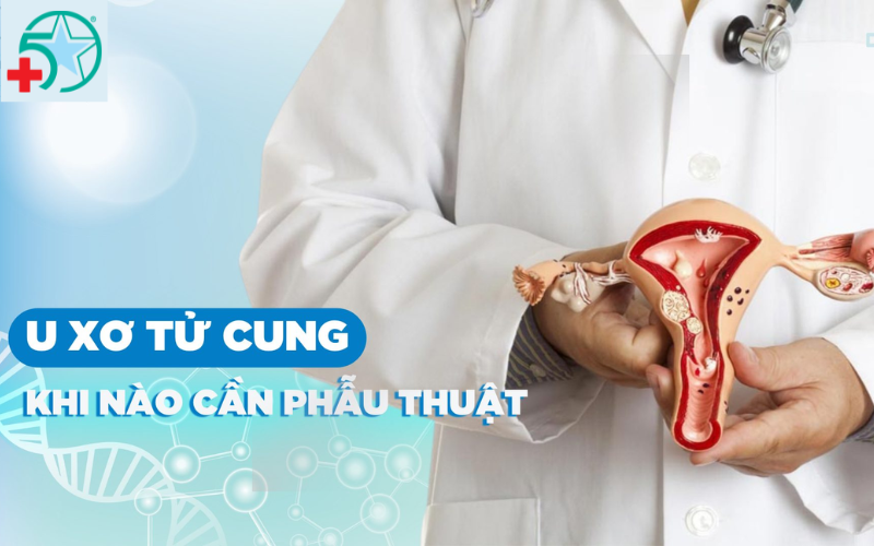 u-xo-tu-cung-duoc-boc-tach-nhu-the-nao (2)