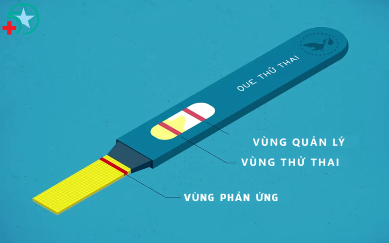 cham-kinh-bao-lau-thi-thu-que-chinh-xac-nhat (1)