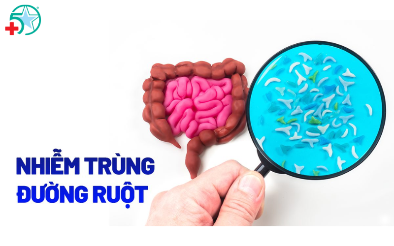 nhiem-trung-duong-ruot-la-gi (1)