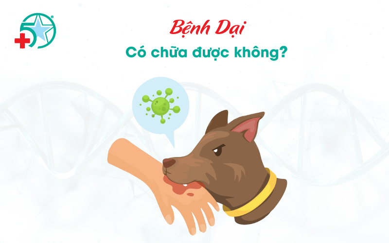 benh-dai-co-chua-duoc-khong