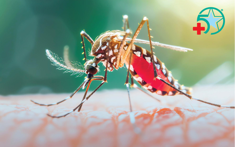 sot-xuat-huyet-tai-ha-noi