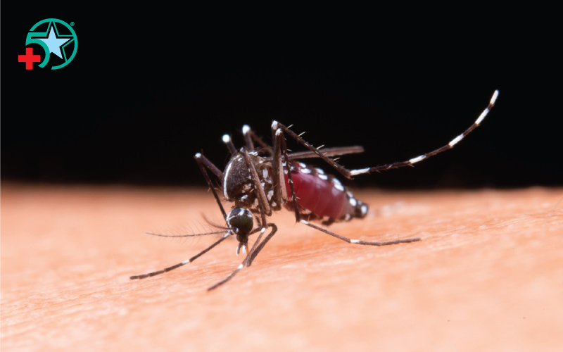 sot-xuat-huyet-can-chu-y-nhung-chi-so-nao