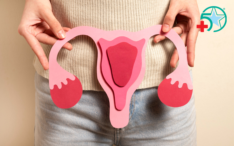 suc-khoe-tu-cung-hanh-trang-hanh-phuc