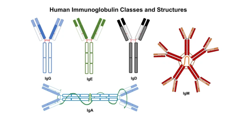 viem-xoang-mua-nang-nong-huong-dan-chuyen-sau