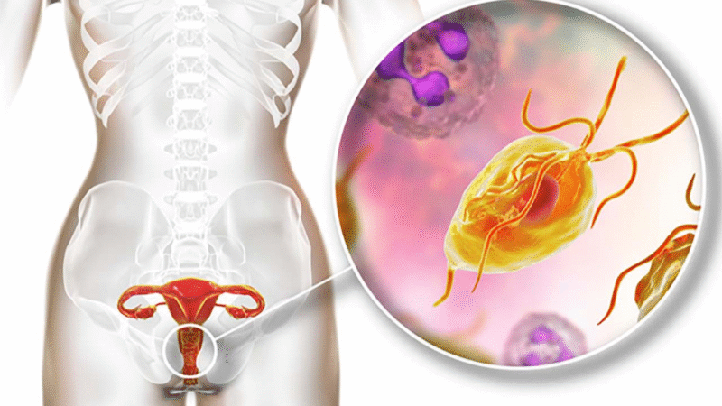 nam-am-dao-la-gi-nam-am-dao-co-chua-duoc-khong?