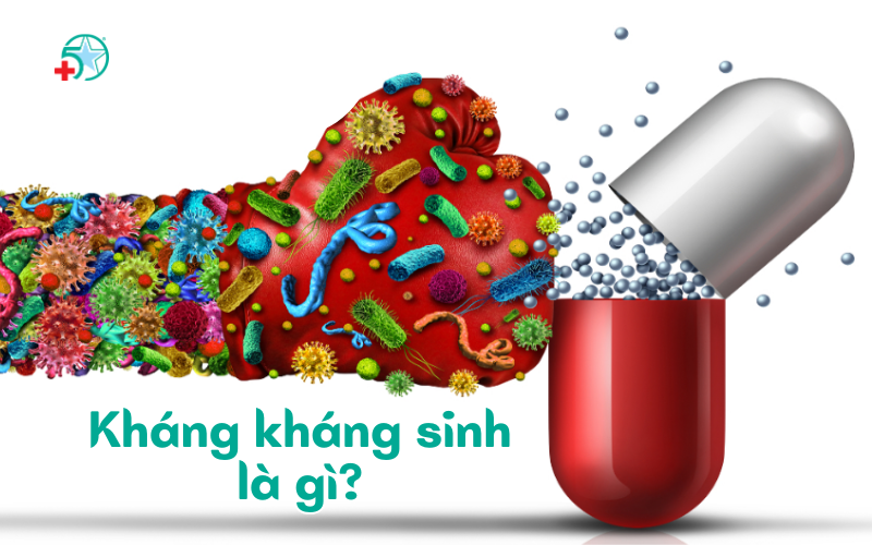 khang-khang-sinh-la-gi-hiem-hoa-tham-lang-tu-thoi