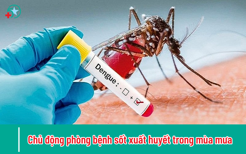 chu-dong-phong-benh-sot-xuat-huyet-trong-mua-mua