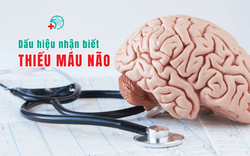 dau-hieu-canh-bao-thieu-mau-nao-nhung-bieu-hien..