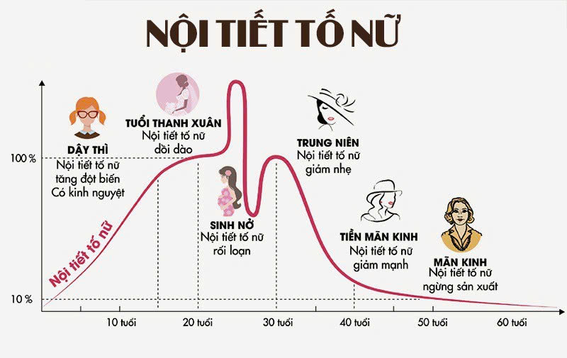 roi-loan-noi-tiet-to-nu-hieu-dung-de-khong-bo-lo