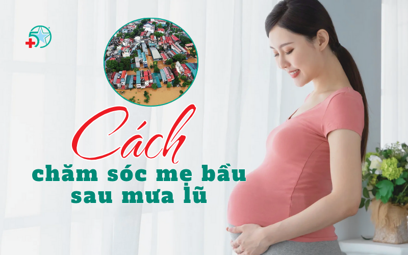 cach-cham-soc-me-bau-sau-mua-lu-tranh-anh-huong..