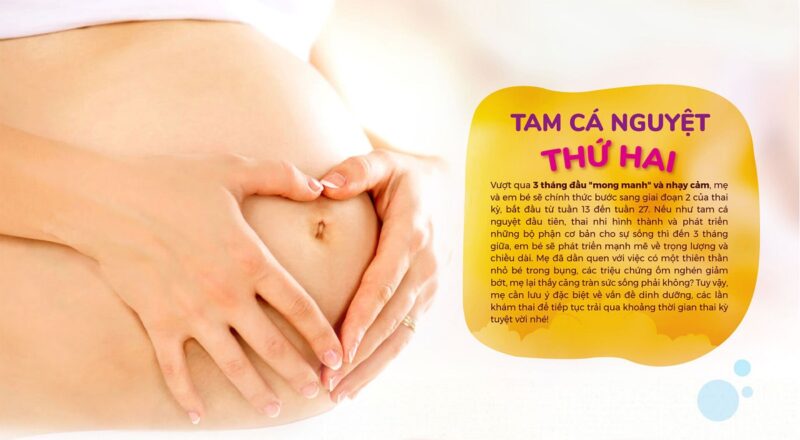 nhung-luu-y-trong-tam-ca-nguyet-thu-2-me-bau-can