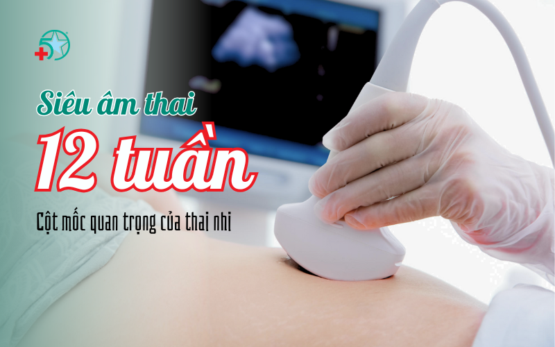 vi-sao-sieu-am-12-tuan-la-moc-quan-trong...