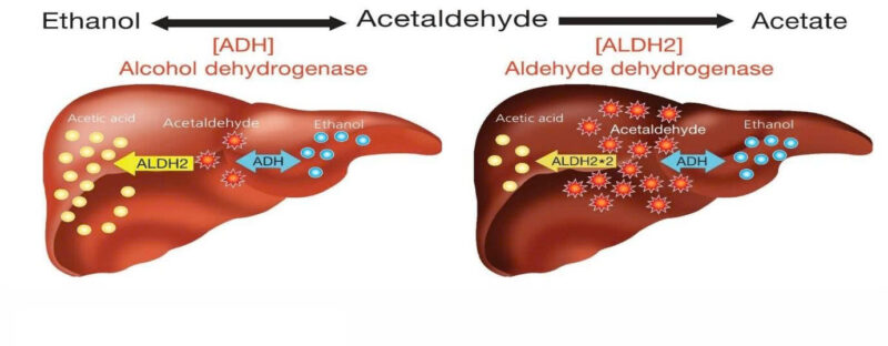 thuoc-giai-ruou-mat-gan-co-thuc-su-giai-doc-hay..