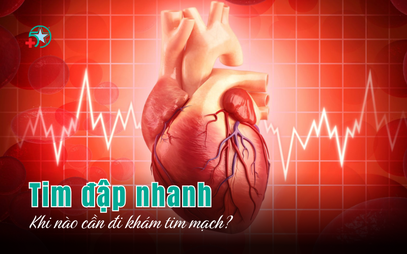 tim-dap-nhanh-bat-thuong-khi-nao-can-di-kham-tim
