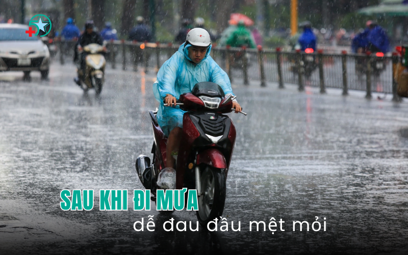sau-khi-di-mua-vi-sao-de-dau-dau-met-moi-6-thay..