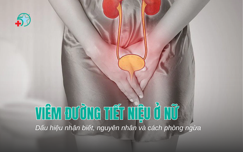 viem-duong-tiet-nieu-o-nu-dau-hieu-nhan-biet...