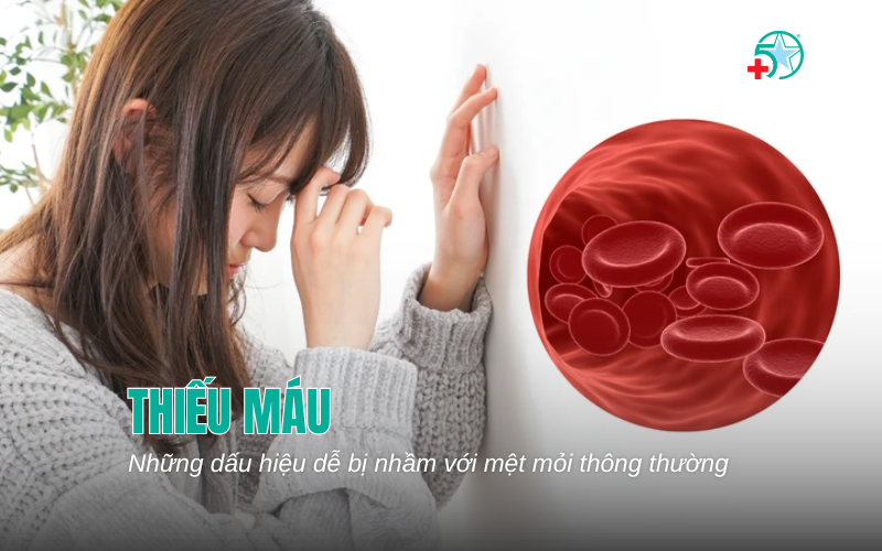 thieu-mau-co-bieu-hien-gi-nhung-dau-hieu-de-bi...